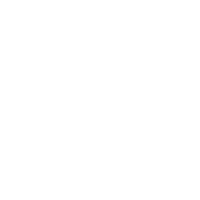 入力円